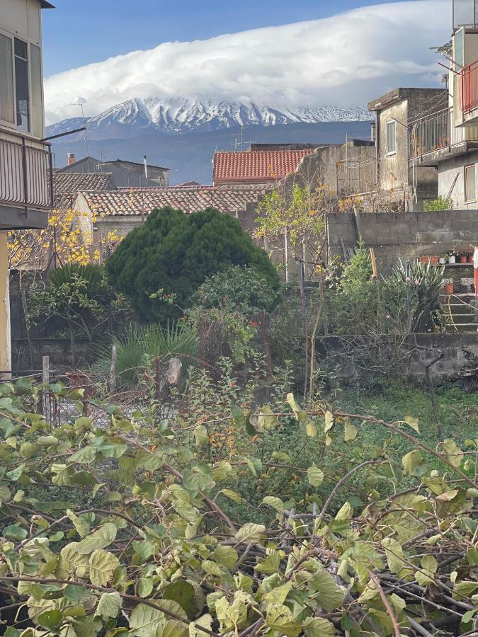 Etna Sunshine Apartments Linguaglossa Εξωτερικό φωτογραφία